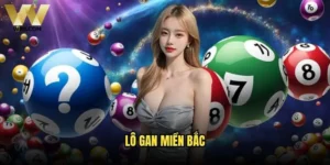 Lô gan miền Bắc