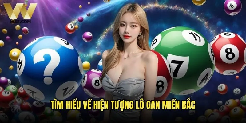 Lô gan miền Bắc có thực sự đáng để theo dõi tại W88? 1 Tìm hiểu về hiện tượng lô gan miền Bắc