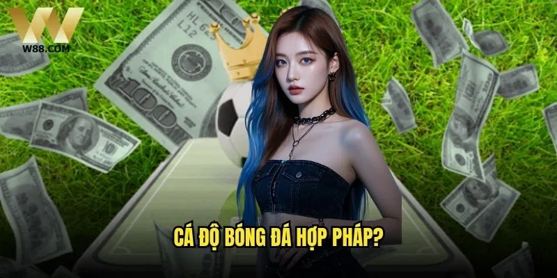 Cá độ bóng đá hợp pháp