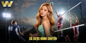 Cá cược bóng chuyền